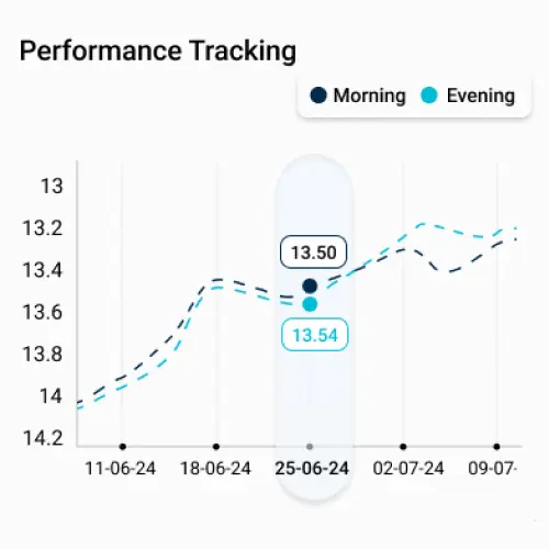 Performance Comparison and Visualization